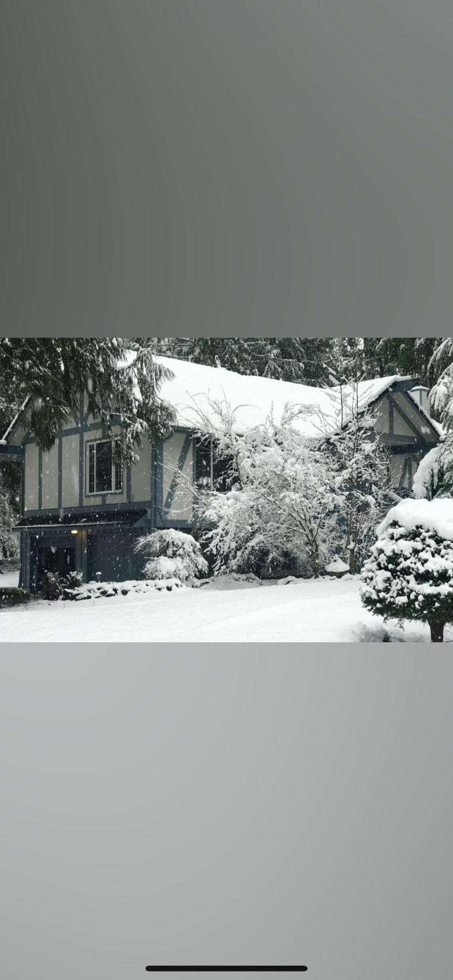 Cozy Bird House W Big Screen! Mount Hood Village Esterno foto